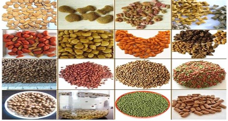 Dog Feed Extruder Production Line Commercial High Volume Design